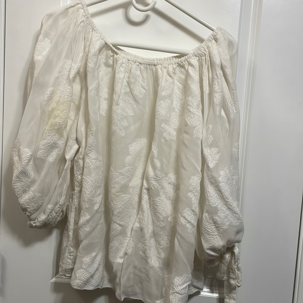 Artizia sheer blouse